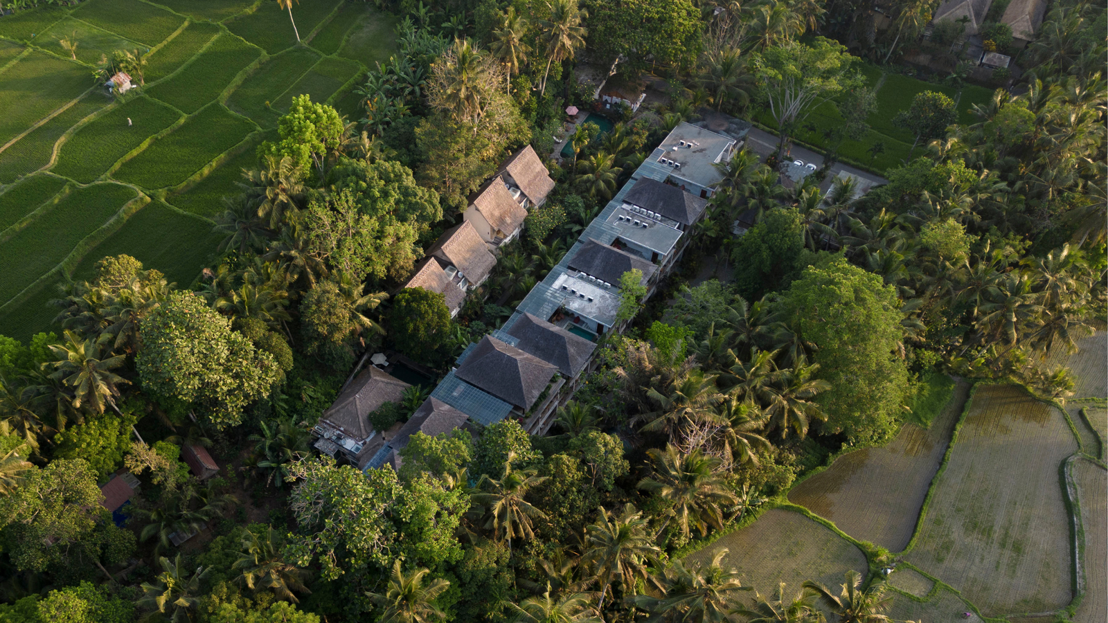 Exploring the Beauty & Exclusive Activities at AnandaDara Ubud Resort & Spa