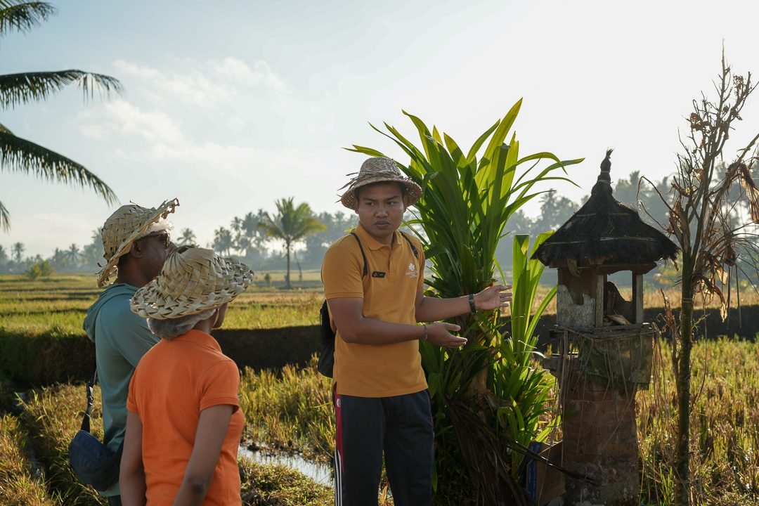 AnandaDara Ubud Resort & Spa Completes Development Phase, Announces Pre-Launch of  AnDa RiceField OnSen 温泉 Villas and New Yoga Shala