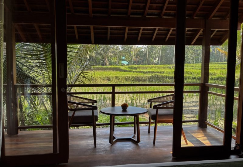 anda-ricefield-onsen-villa-romantic-eco-luxury-ubud.jpg